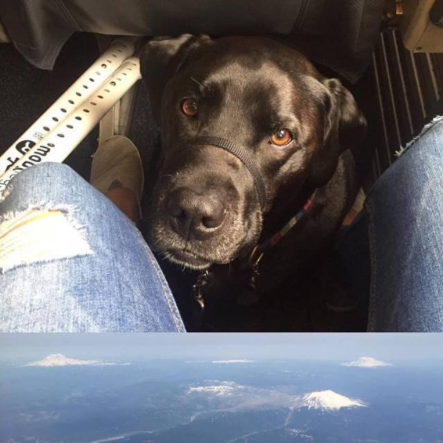 seattle plane ride