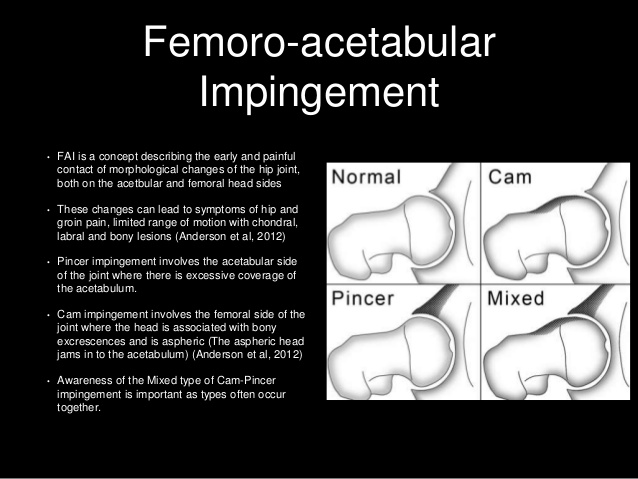 sporting-hip-and-groin-37-638